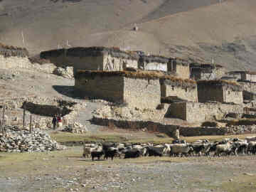 Tibetaanse huizen in Dho Tharap